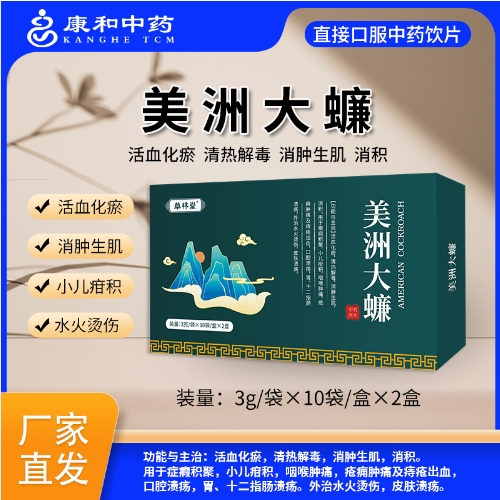 美洲大蠊 美洲大蠊